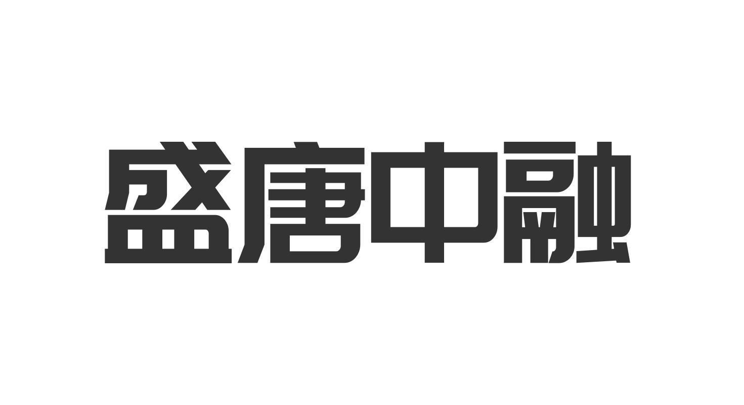 盛唐保险经纪