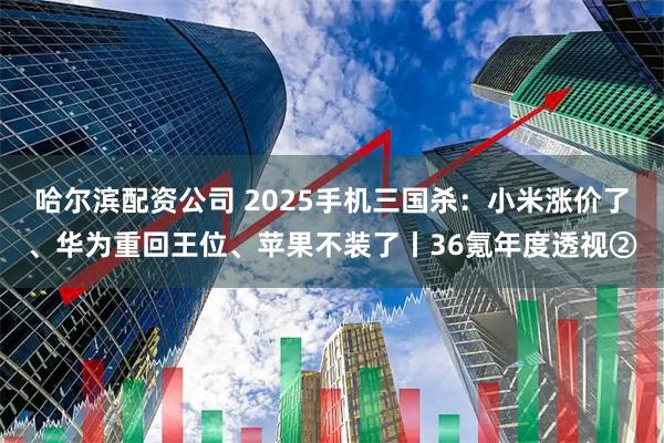 哈尔滨配资公司 2025手机三国杀：小米涨价了、华为重回王位、苹果不装了丨36氪年度透视②